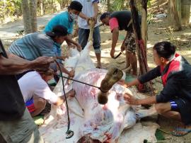 PERAYAAN HARI RAYA IDUL ADHA DIKALA PENDEMI COVID-19